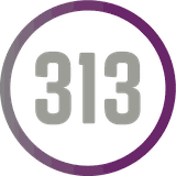 313